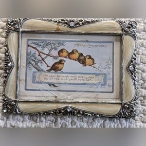 𝅺vintage Postcard Birds Framed